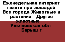 Еженедельная интернет - газета про лошадей - Все города Животные и растения » Другие животные   . Ульяновская обл.,Барыш г.